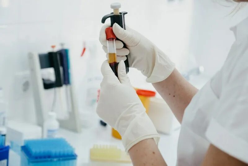 красноярск улица партизана железняка 3б поликлиника. нии медицинских проблем. шахтёров 25 красноярск нии севера. нии севера красноярск. нии медицинских проблем.