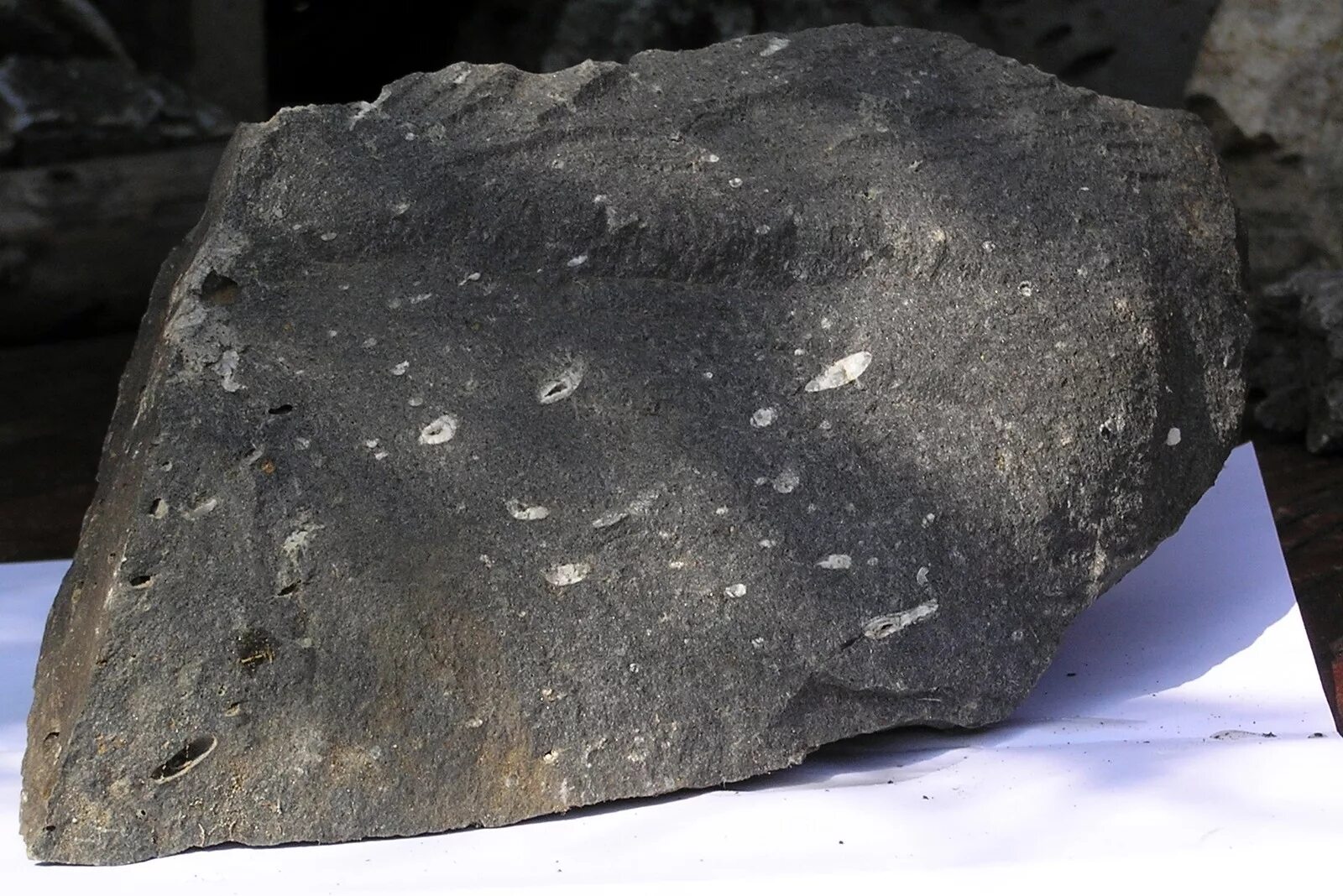 Базальт это минерал. Базальт Горная порода. Базальт афировый. Базальт Горная порода миндалекаменная. Вулканический базальт камень.
