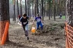 Спортивное ориентирование павловск. Павловск тихий дон соревнования по спортивному ориентированию. всероссийские соревнования по спортивному ориентированию тихий дон. тихий дон ориентирование павловск 2025. соревнования тихий дон павловск.