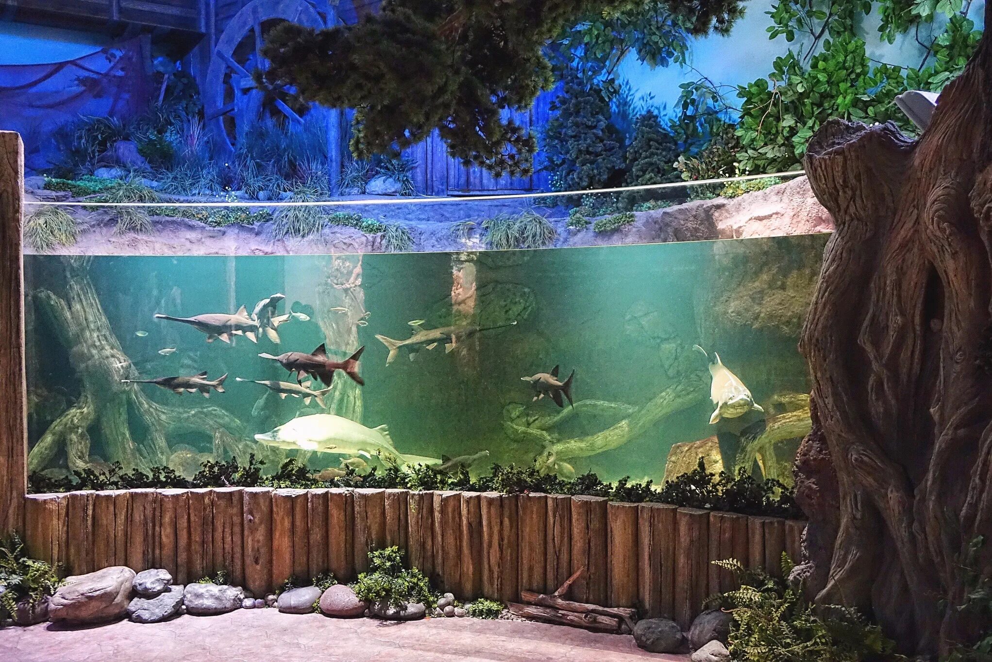 Океанариум воронеж сити парк. Куда сходить в воронеже на выходных. Воронеж тц град океанариум. Клуб сон екатеринбург. Куда сходить в воронеже на выходных.