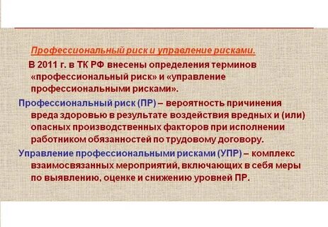 Профессионал риск