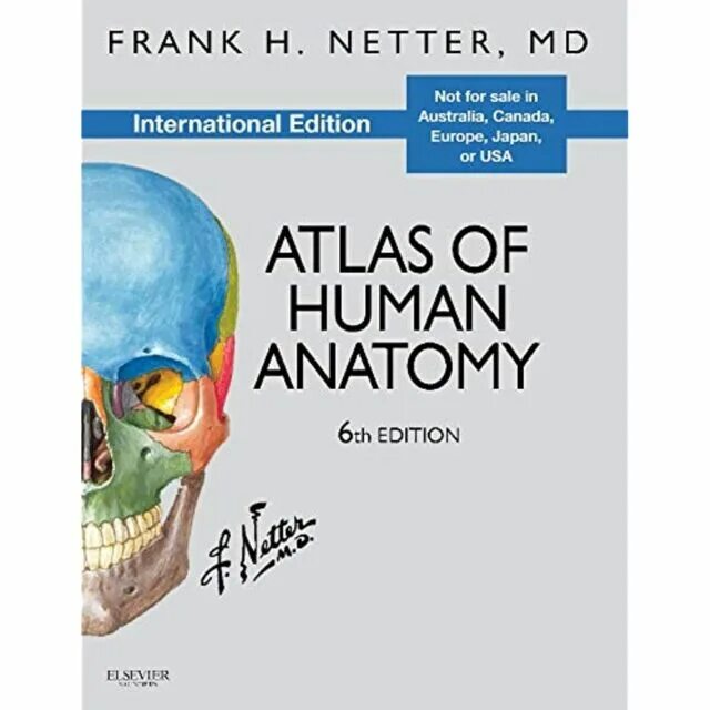 Netter&#039;s atlas. Анатомический атлас фрэнк неттер. фрэнк неттер анатомия 6 издание. неттер атлас. netter atlas of human anatomy 5 edition.