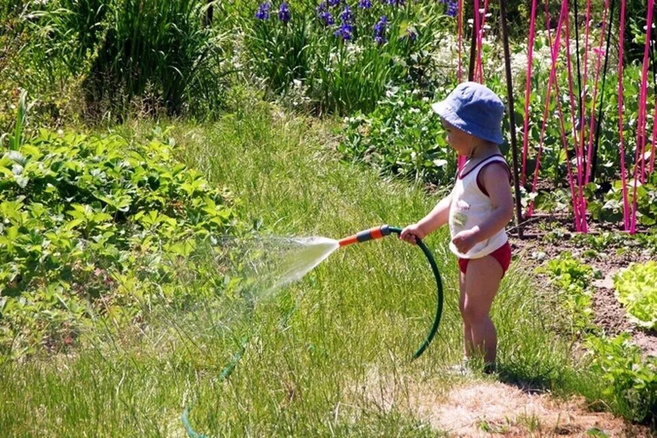 Поливать огород. Огород для детей. Дача летом. Огород в деревне полив. На летних каникулах на даче