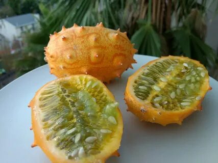 Дыня маракуйя