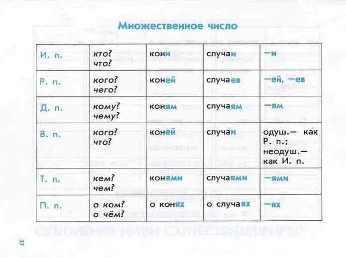 Родители в единственном числе