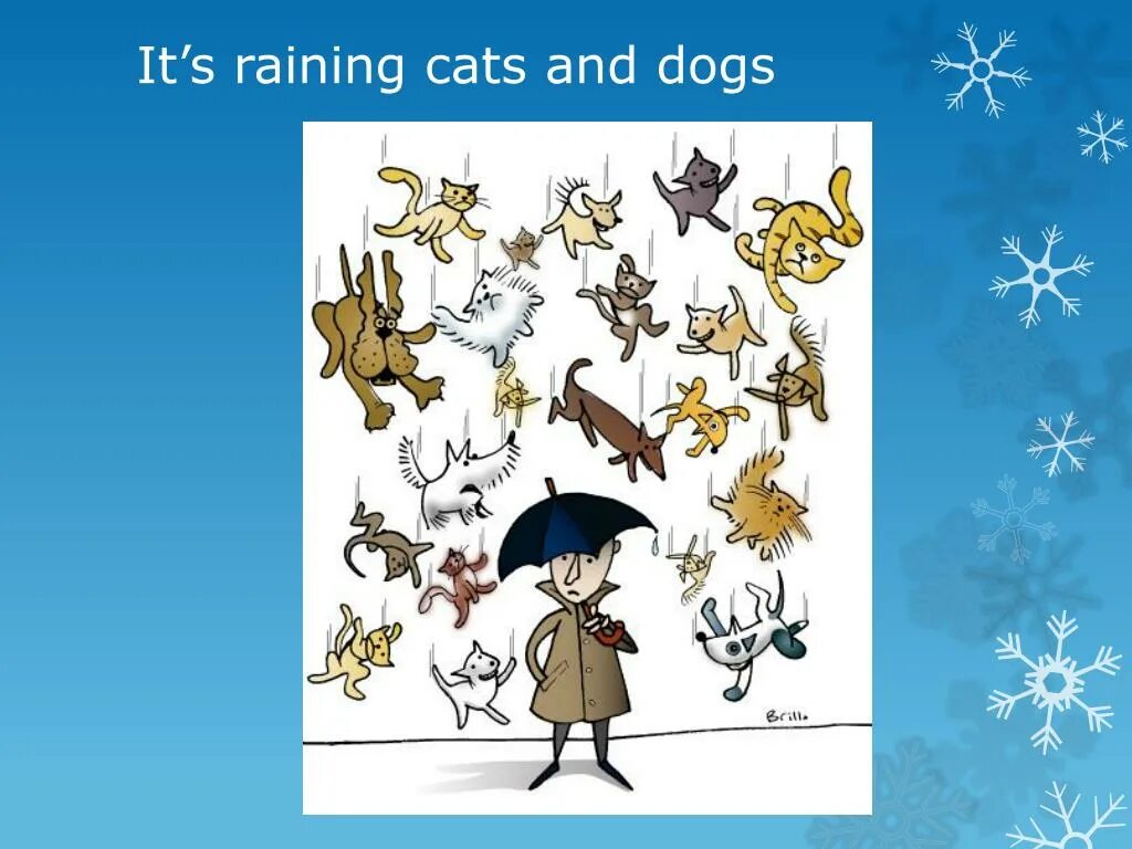 Is it raining ответ. Идиома it's raining Cats and Dogs. Rain Cats and Dogs идиома. Raining Cats and Dogs идиома. It Rains Cats and Dogs картинка.