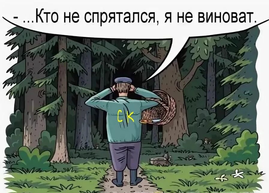 Он был далеко тот лес. Грибник карикатура. грибы в лесу прикол. смешные шутки про лес. смешные картинки про лес.