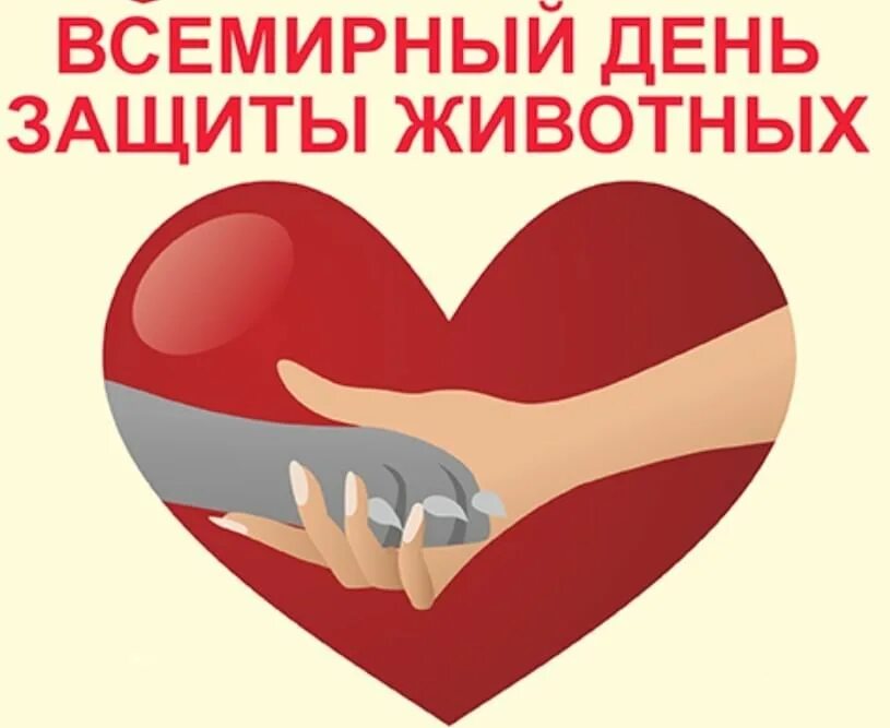 Международный день животных" 2020, Ярославский район - дата и место проведения, 