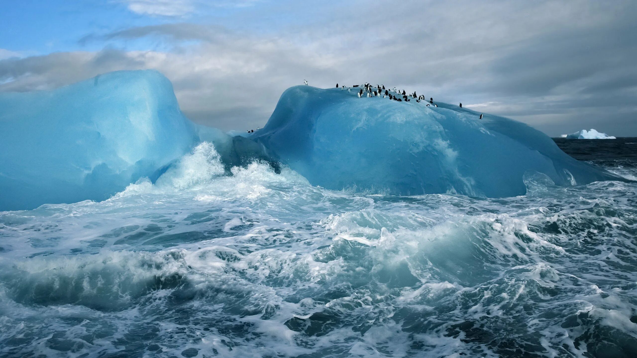 Лед шторм. Северный Ледовитый океан и Антарктика. Айсберги Антарктиды. Ледовитый океан и Антарктида. Ледовитый океан Айсберг.