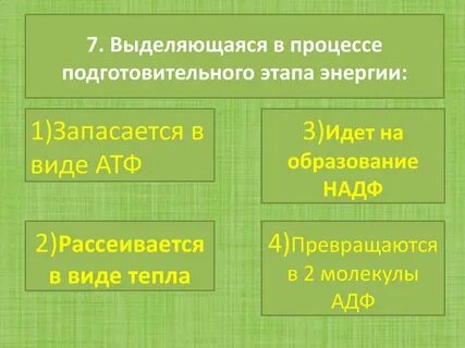 Энергия запасается в молекулах