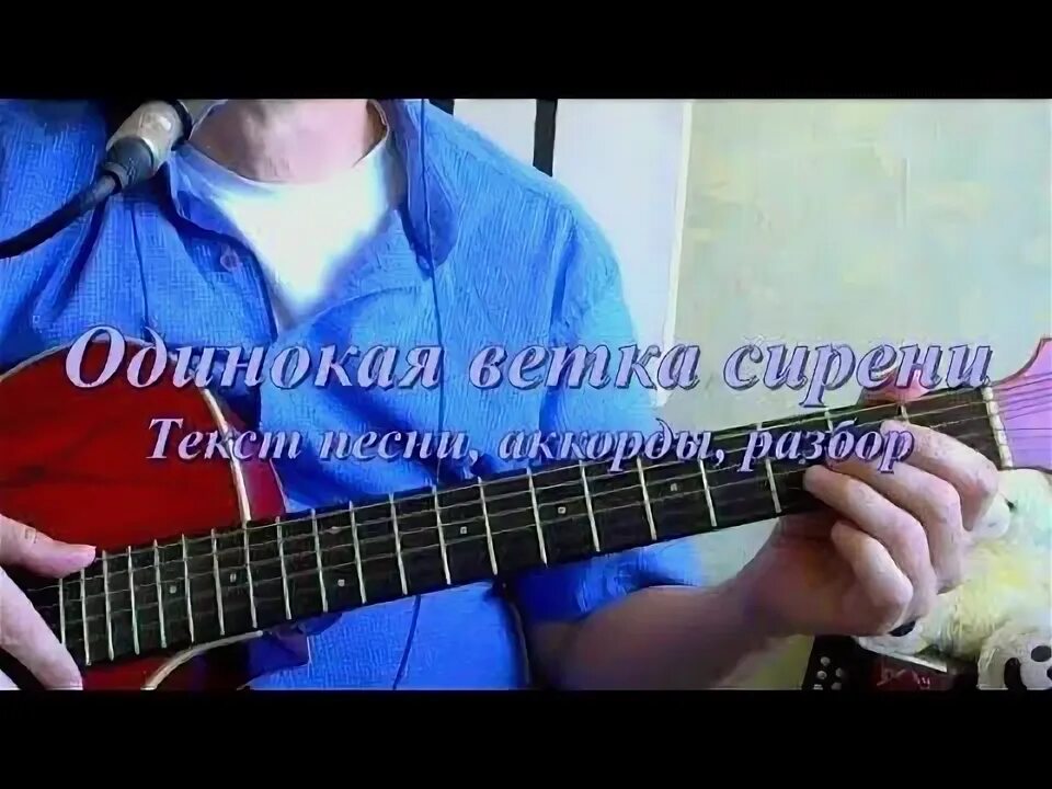 Одинсаля ветуа сирпния текст. На столе стояла ветка сирени текст. Одинокая ветка сирени баяна ноты для баяна. Текст одинокая ветка сирени текст. Одинокая ветка сирени текст.