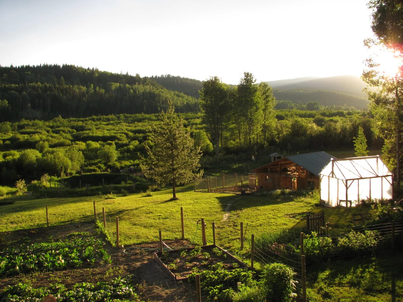I live in the countryside. Living in the countryside ЕГЭ ферма. Living in the Country. 21. Living in the countryside.. Live in the Country.