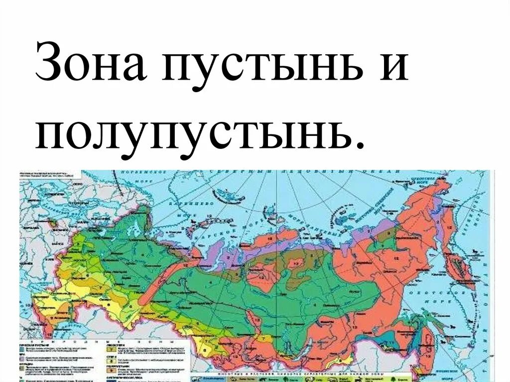 Зона пустынь и полупустынь в России на карте. Природные зоны России пустыни и полупустыни карта. Расположение зоны пустыни.