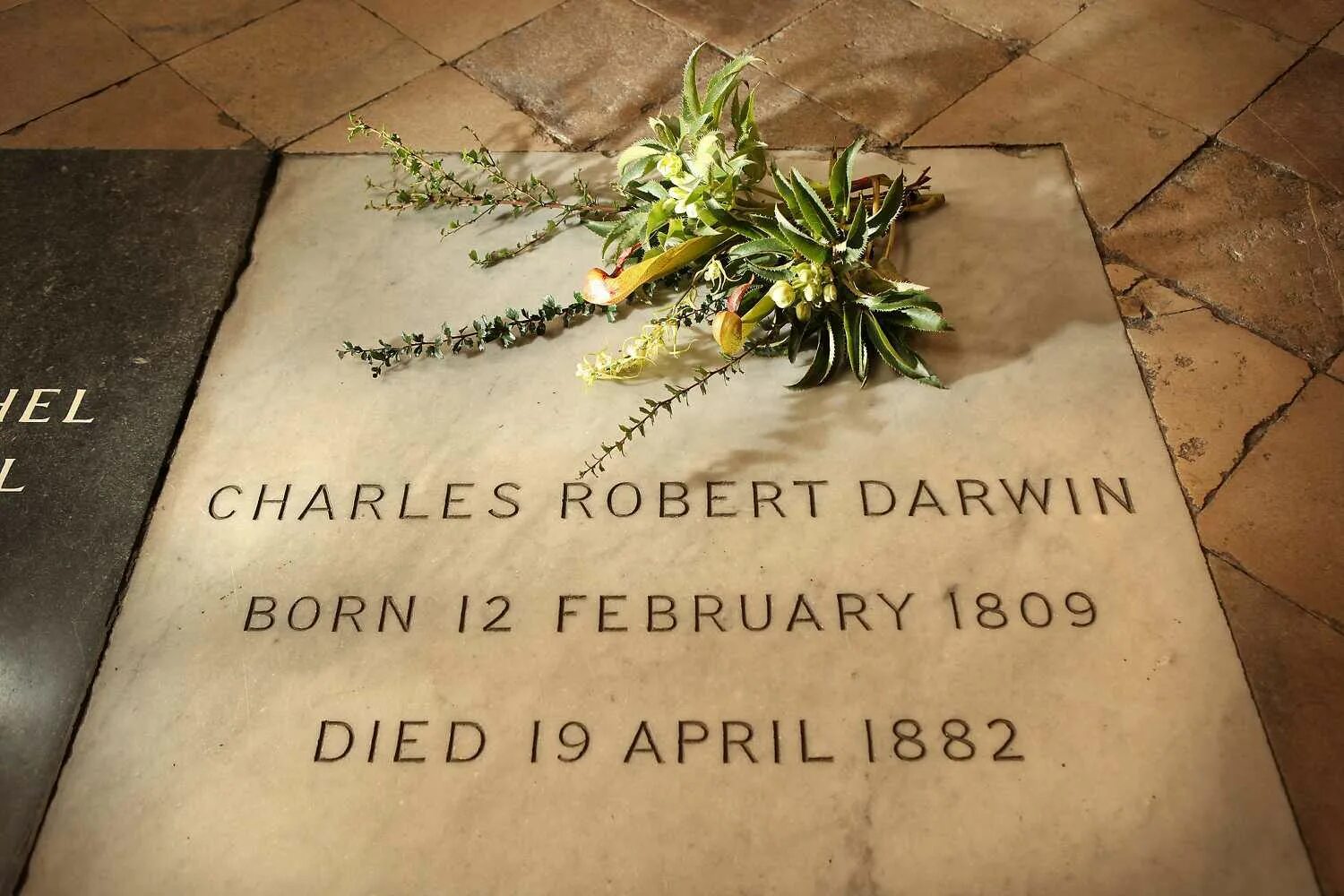 Кто написал похороните. Могила Чарльза Дарвина. Могила Дарвина Вестминстерское аббатство. Могила Чарльза Дарвина в Вестминстерском аббатстве.