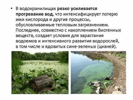Создание водохранилищ приводит