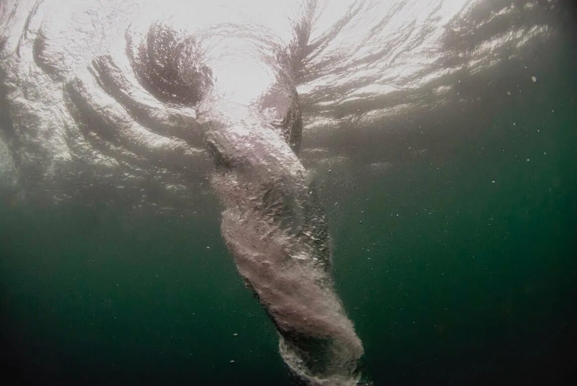 Страшный водоворот. Воронка под водой. Воронка в воде. Гигантский водоворот. В глубине были видны