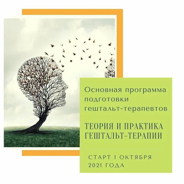 Московский институт гештальт терапии и консультирования. Приложение теория. Теория по практике. Практика важнее теории. Маркетинг книги.