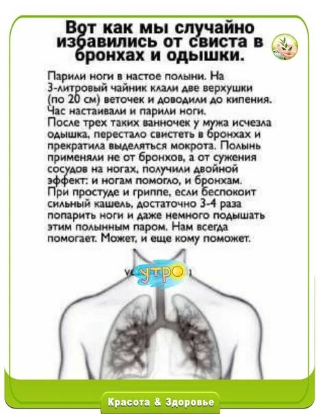 Свистит в бронхах. Полынь от свиста в бронхах. Свист в бронхах на вдохе. Как убрать свист в бронхах. При кашле свист при выдохе