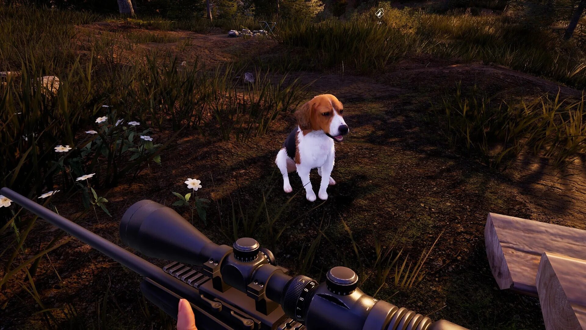 Игру симулятор охоты на животных. Хантинг симулятор 2. хант симулятор. hunting simulator 2 охота. hunting simulator 1.