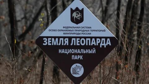 Лесничество особо охраняемая природная территория