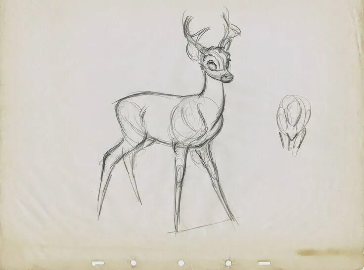 Deer studio