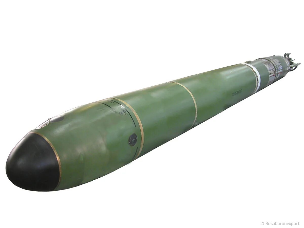 Подводная ракета посейдон. Mk 46 торпеда. Торпеда mk-54. Торпеды подводных лодок. Торпеда сэт-65.