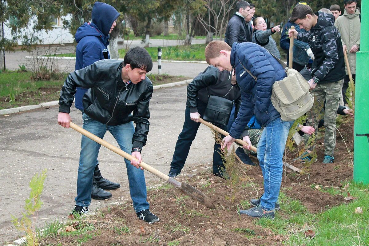 туристический кластер в евпатории. евпаторийский строительных технологий. евпаторийский строительных технологий. индустриально промышленный колледж. пту евпатория 19 евпатория.