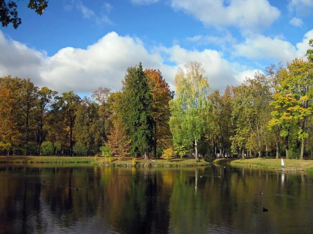 Й парк. Пруд в парке. Й парк. «дорожка в парке» сергея виноградова. Парк пушкина.