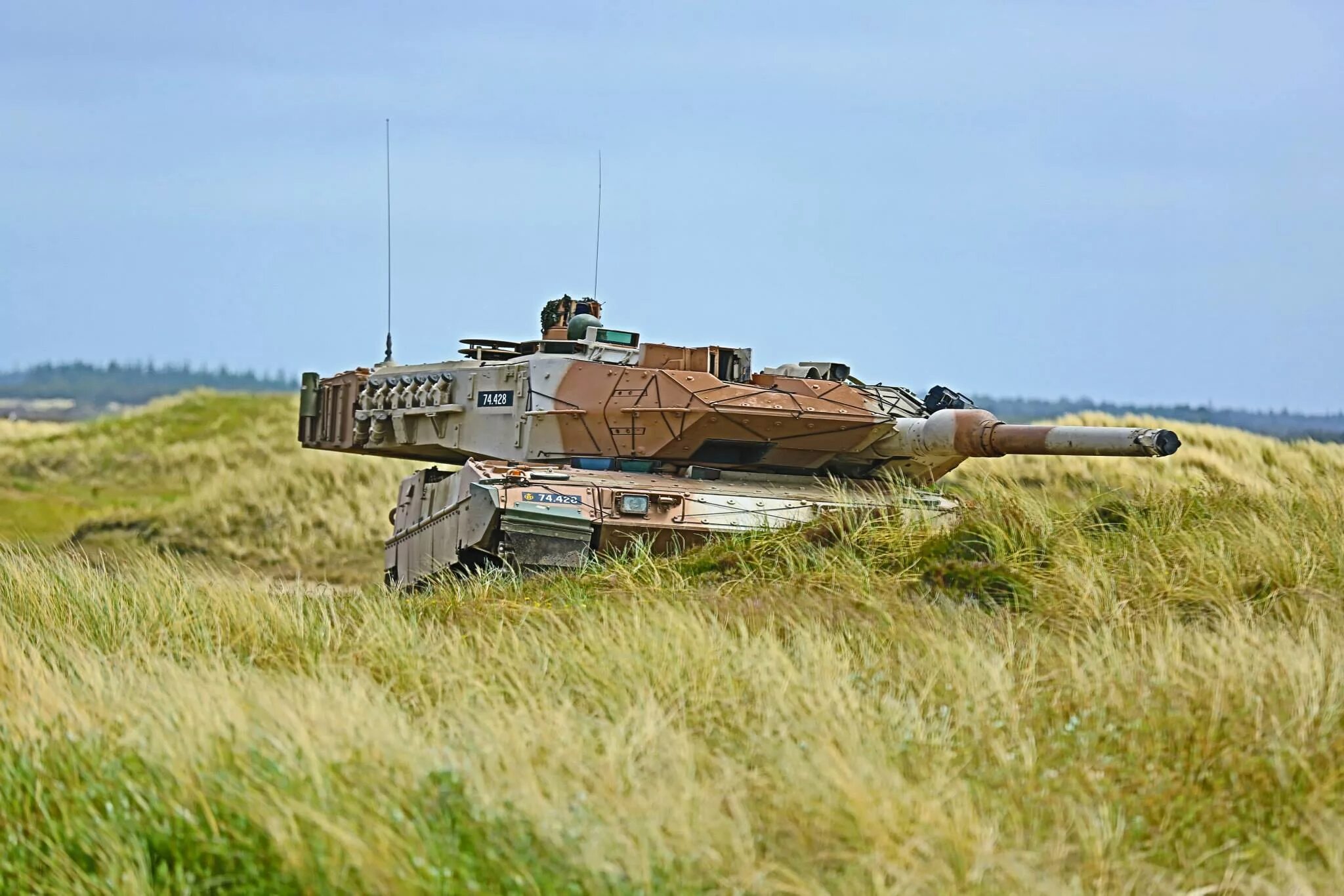 Leopard 2a5. Leopard 2a5dk. leopard 2a5 hobby boss. датские танки leopard 2a7. leopard 2a6m дании.