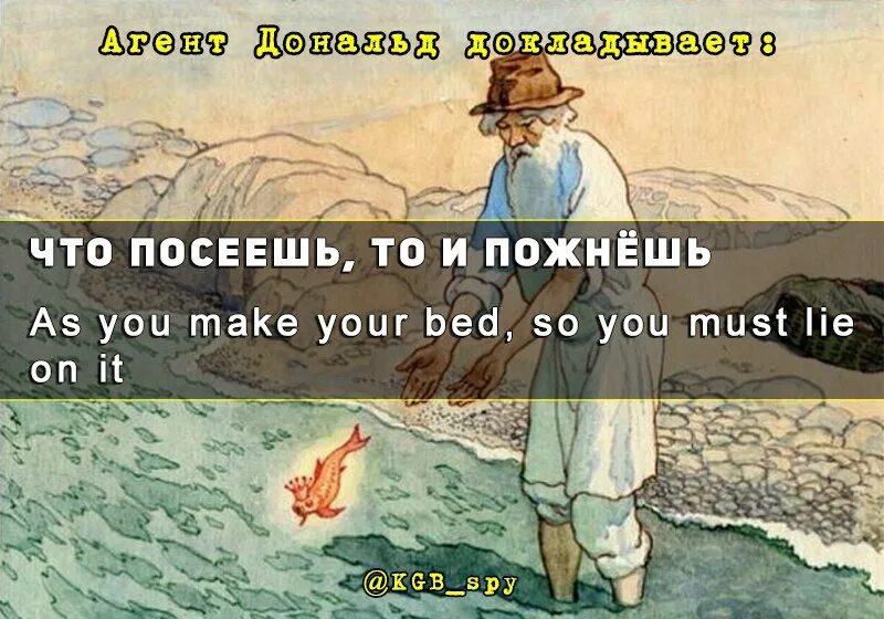 Добро сеять пословица. Что посеешь то и пожнешь. As you make your Bed so you ,ust Lie in it. Картинка к пословице что посеешь то и пожнёшь. Ситуация к пословице что посеешь то и пожнёшь.