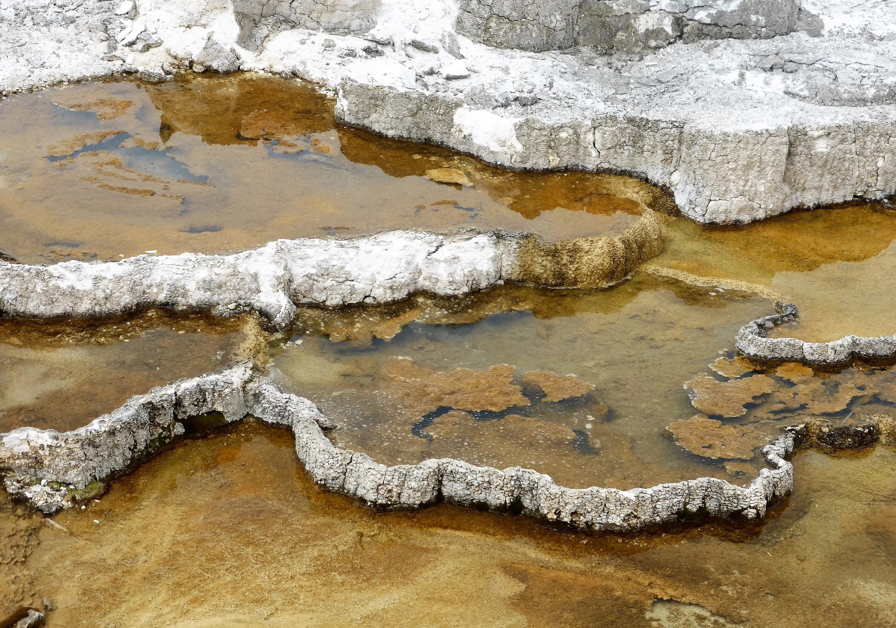 Сернистая вода. Сера в воде. Растворение серы в воде. Сера на поверхности воды.