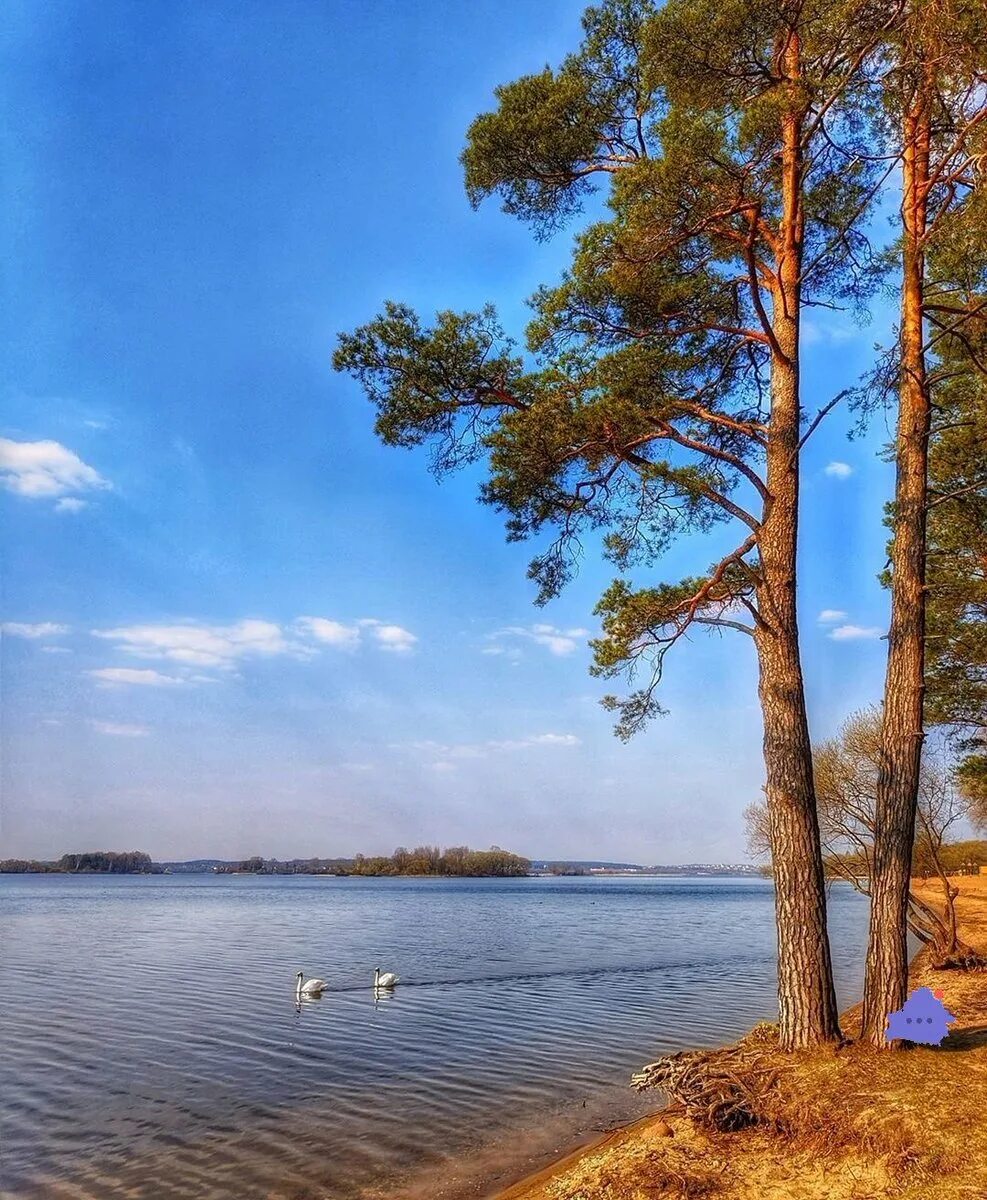 Истра московская область водохранилище. Пляж трусово на истринском водохранилище. Истра водохранилище. Истринское водохранилище лыщево. Озеро истры.
