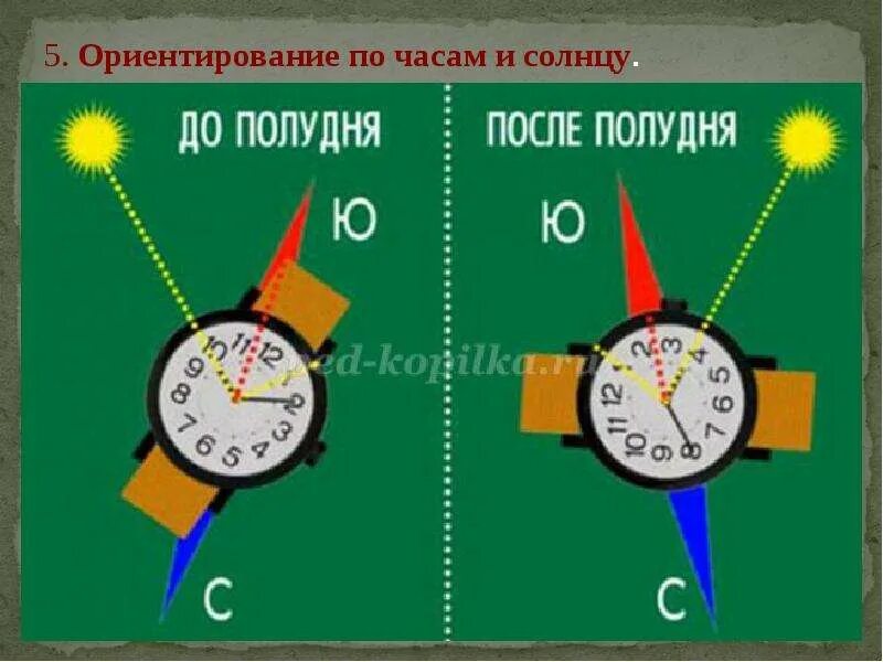 Как отличить час. Определение сторон света по часам. Определить стороны света по часам. Определение сторон света по солнцу. Определение сторон счета по часам.