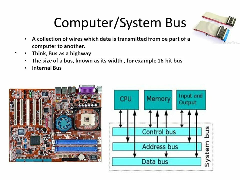 Cpu bus. Computer bus. -bus роутер. data bus. buses в компьютере.