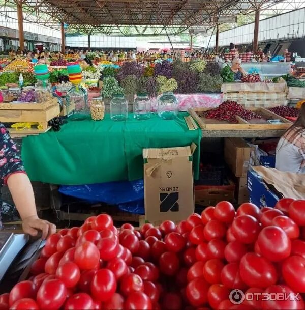 Магазин центральный кисловодск. Центральный рынок, кисловодск, улица горького, 24. Городской рынок кисловодск. Сыр центральный рынок кисловодска. Кисловодск центральный рынок отзывы.