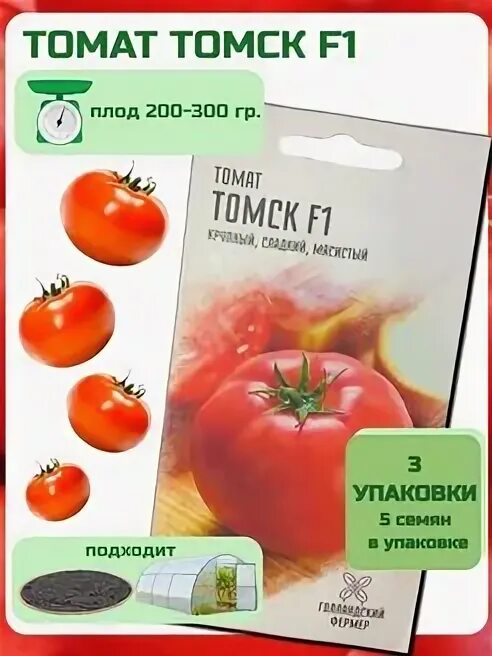 Томат полфаст. Помидоры томск. Томат томск фото. Томат ляна отзывы фото. Томат томск f1.