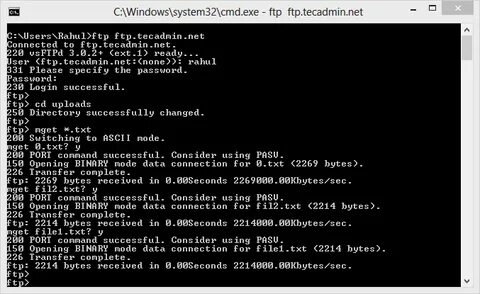 Ftp exe