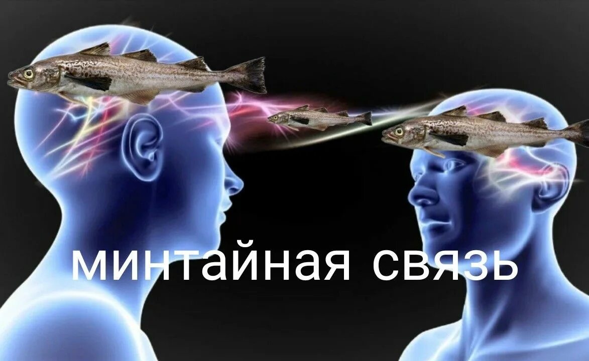 Минтайная связь