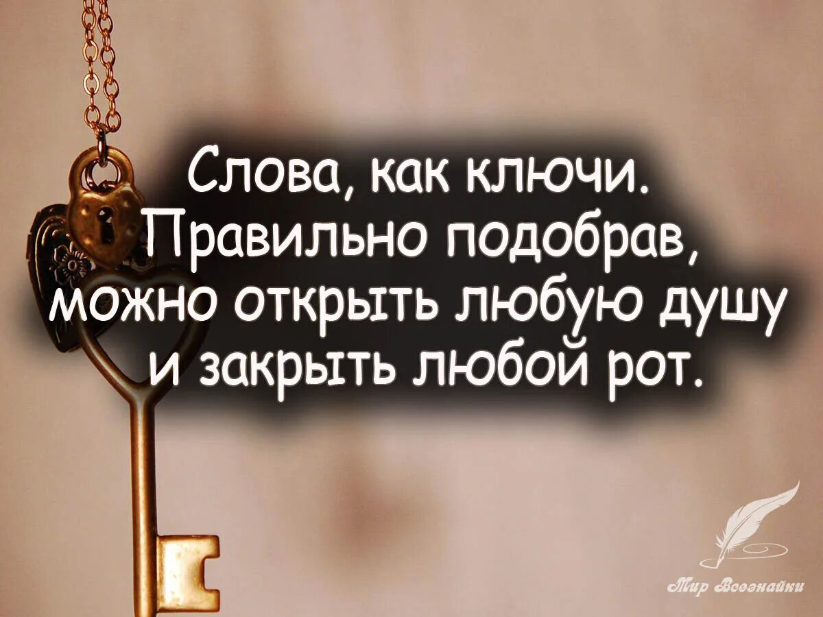 Умные слова для разговора и их значения. Мудрые слова. очень мудрые слова. самые мудрые слова. мудрая сова.