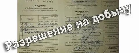 Охота без путевки штраф 2024