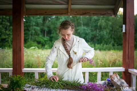 Гринь княжья травница