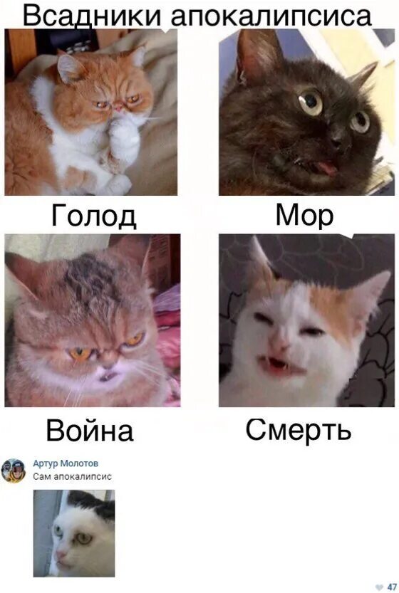 Мор голод