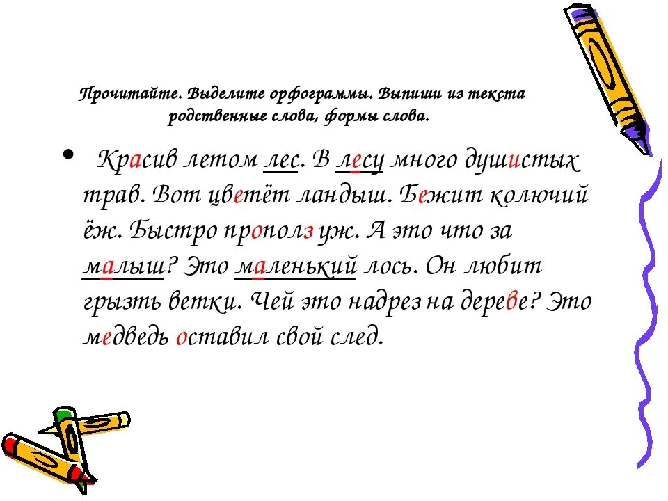 Собственной орфограмма. Как подчеркнуть орфограммы. Как выделить орфограмму. Выделить орфограммы в словах. Подчеркнуть орфограммы в тексте.