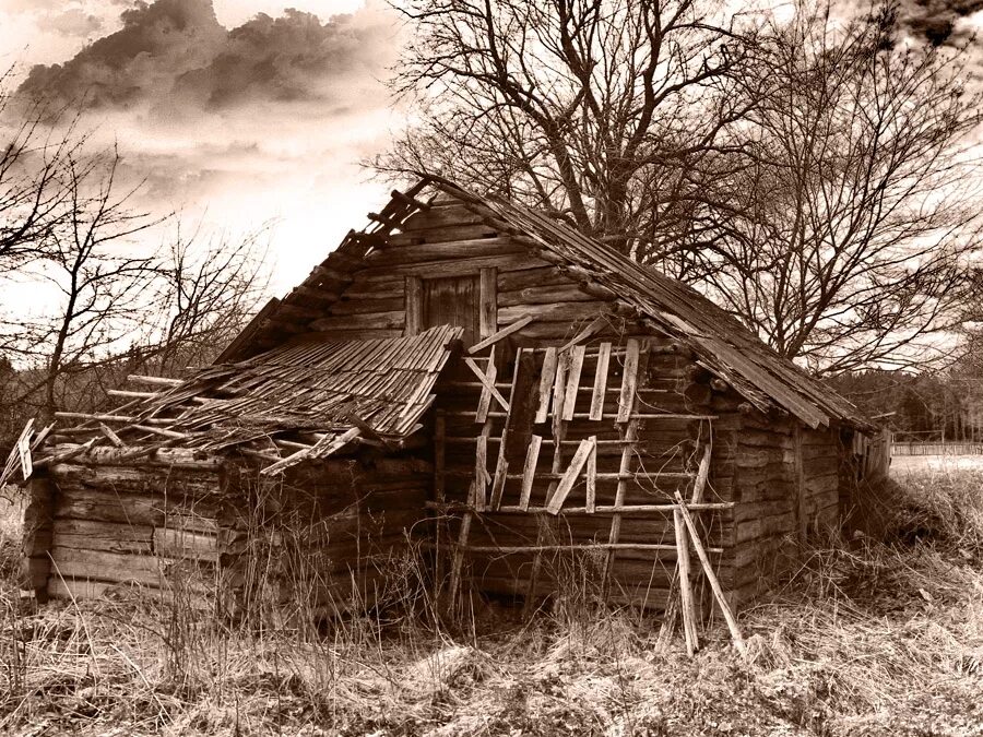 Старый сарай. Разрушенный старый деревянный дом. Старый деревянный сарай. Покосившийся сарай.