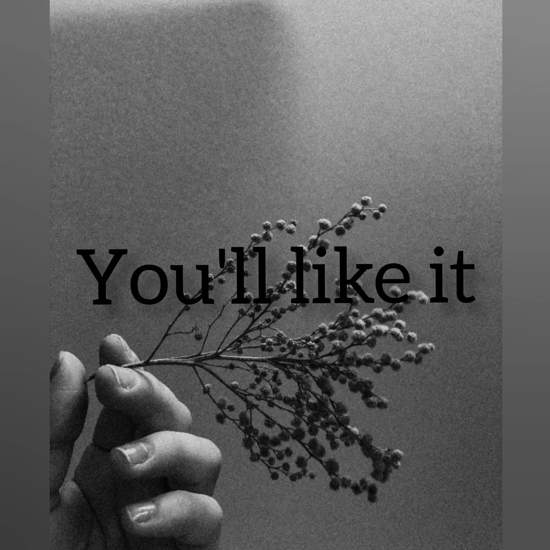 Ты доверяешь мне мем флеш. You ll like sophie when you. Fix this damn door. Ls888 usb sata. You ll like sophie when you.