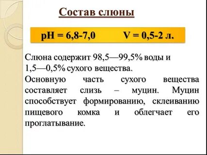 Что содержится в слюне