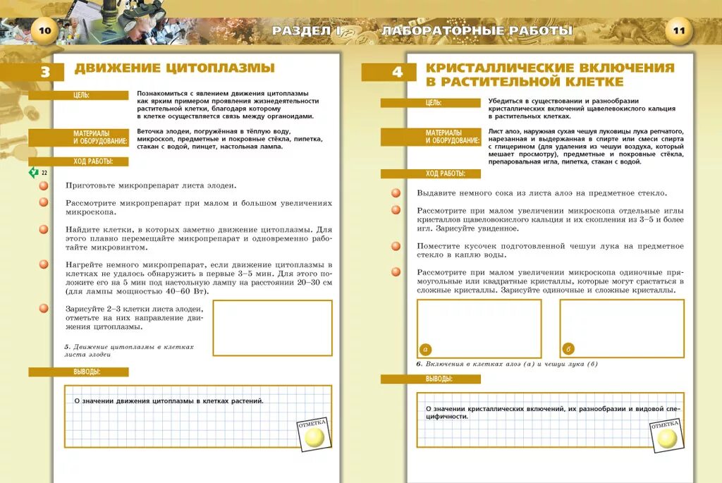 противоречущий или противоречащий правило. практикумы 10 класс биология. практикумы 10 класс биология. биология практикум. практикум результат теста.