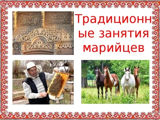 Традиционные занятия марийцев. Традиционные занятия марийцев