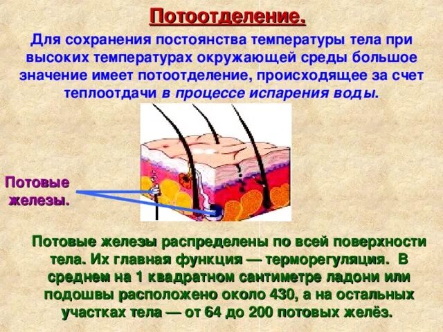 Температура кожных покровов