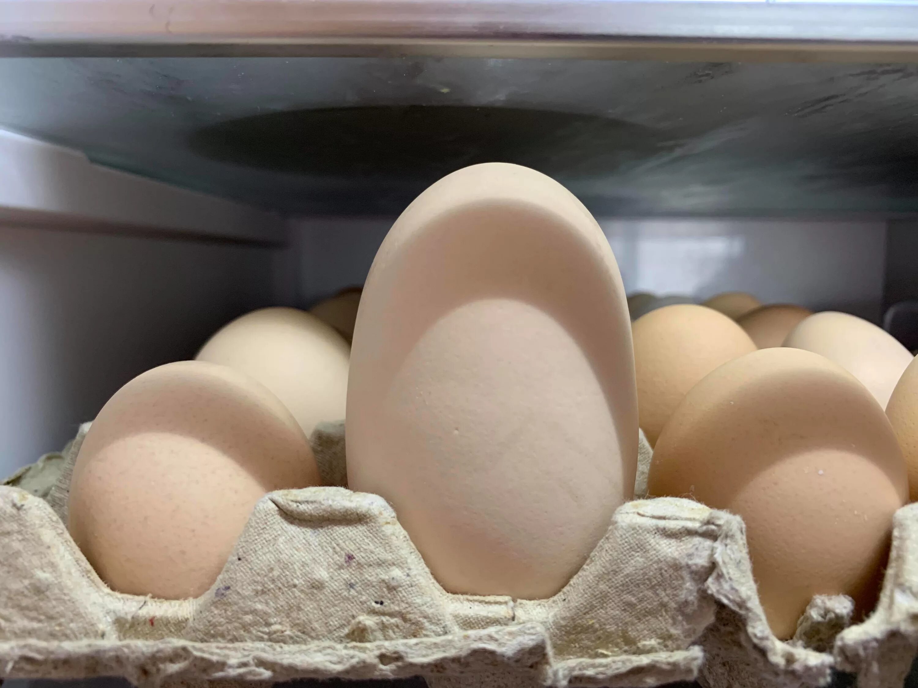 Русские огромные яйца. Большие куриные яйца. Необычные яйца. Крупные яйца. Курица с яйцами.